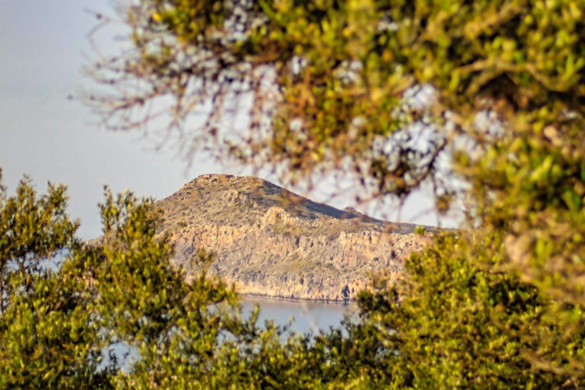 Venizelos Studios Platanés Exteriör bild